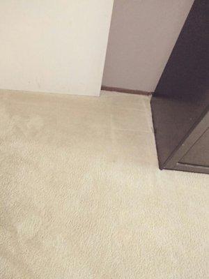 Jam Carpet Cleaning Services