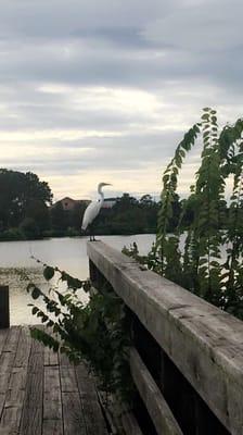 Milford Wampold Memorial Park