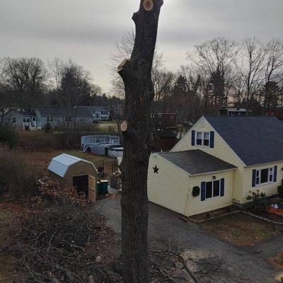 Oakleaf Landscaping & Tree Maintenance