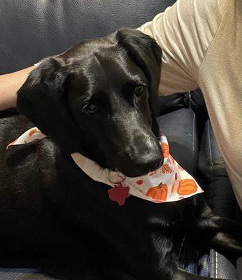 Hazel happy with her groom