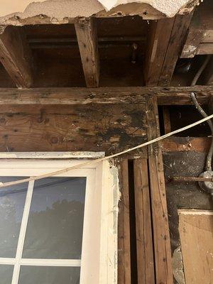 Wood rot under drywall when mold issue was finally addressed.