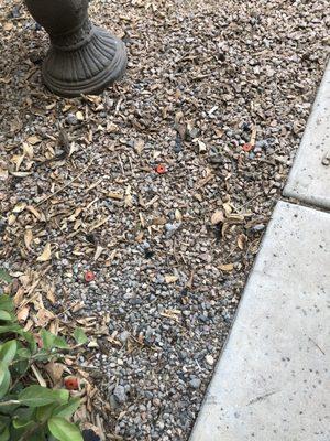 Round 1 nails all over