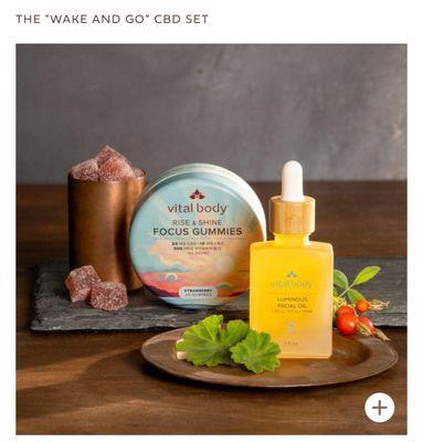 Focus gummies.
Start your day focused & ready with CBG & Vit. B 12.
These CBD vegan gummies help enhance brain function & well being. $49