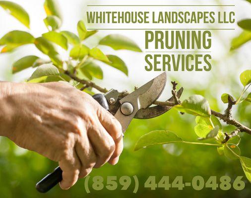 WhiteHouse landscapes