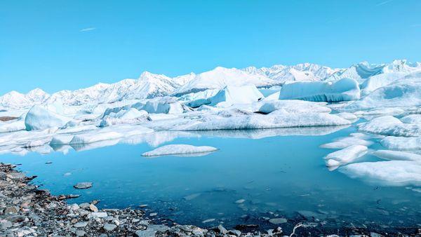 Alaska's Gold Buckle Tours