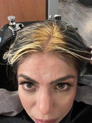 Dellaria Salons Andover