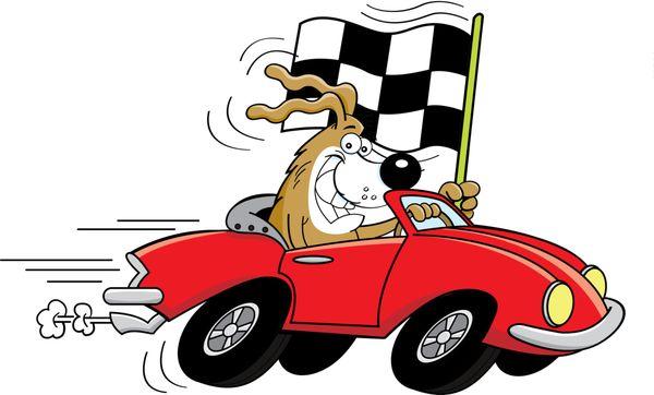 Speedway Animal House