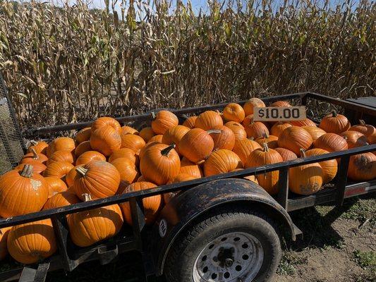 Hartland Farm