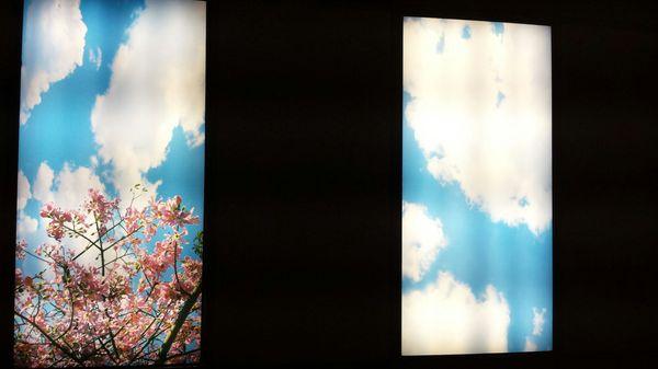 Thuy T Bui, DDS - Alameda Family and Cosmetic Dentistry