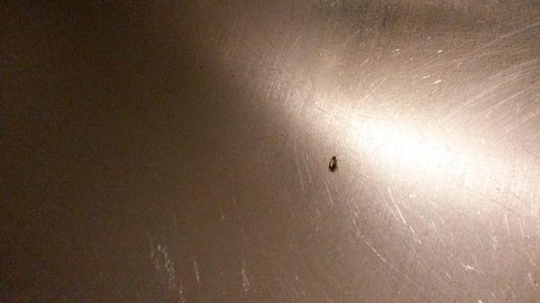 Yeah. Baby roach.