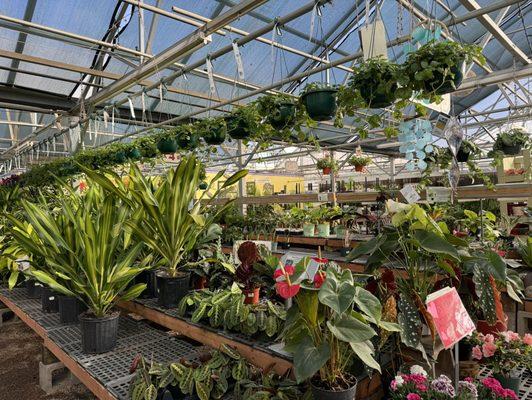 Fort Collins Nursery