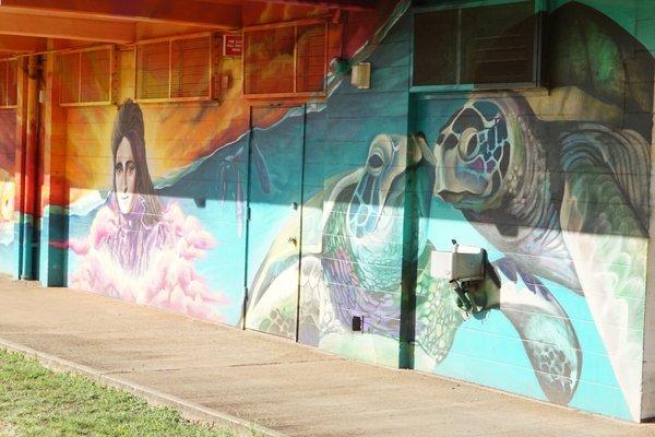 Nice Turtle art work *5/19/2020