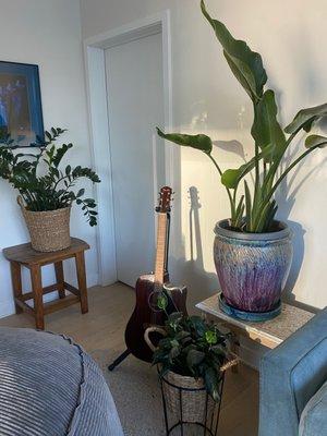 340 Fremont Apartments