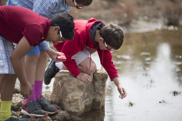 Mary Institute and St. Louis Country Day School