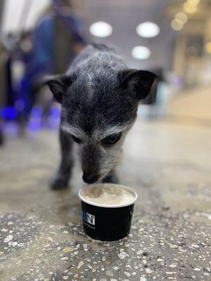 Chill-N Ice Cream Weston