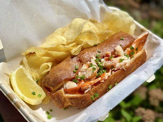 Connecticut Lobster Roll