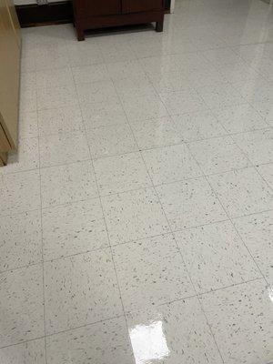 XD Pro Cleaning Services