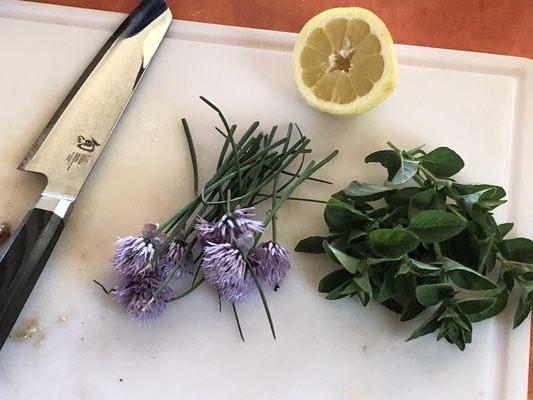 Open Range Good Food Truck