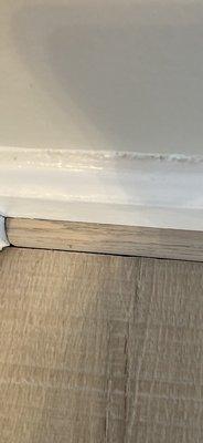 First American Carpet & Floors