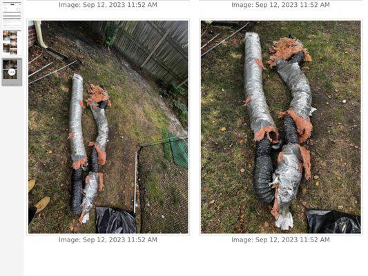 Eliminator Termite Pest & Moisture Control