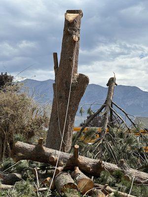 Bogaardts Trees and Shrubs