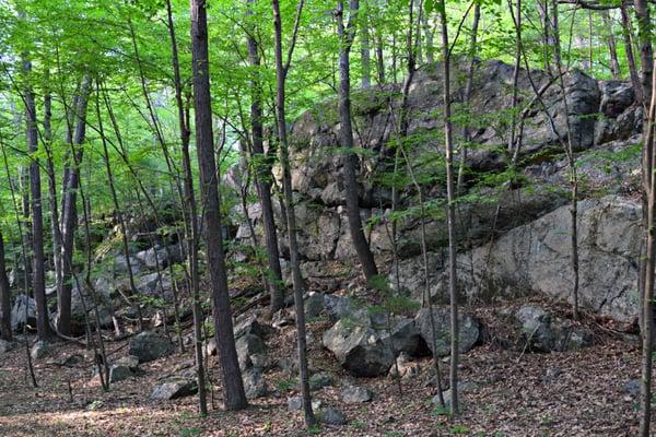 Otis Smith Farm and Rowbottom Preserve