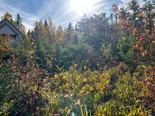 Brian's Handyman Service