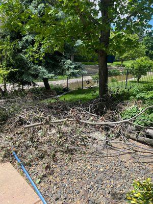 Bravo 4 Demo and Junk Haul