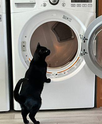 Santa Cruz Appliance Repair