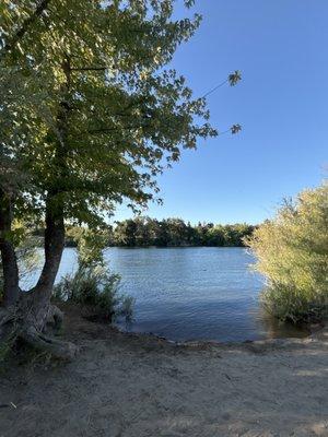 American River Parkway - Howe Access