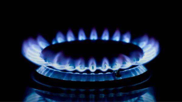 Lucky's Appliance Repair