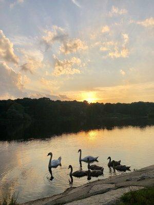 Upper Charles River Trail