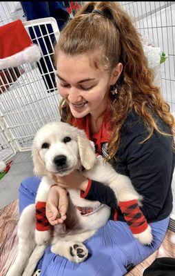 Dog Training Station