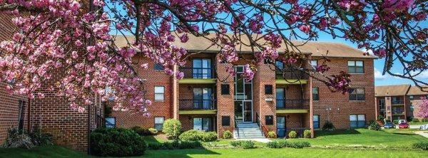 Gebhart Properties Executive Office