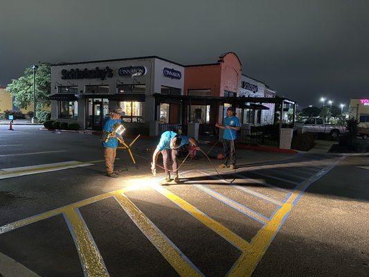 Theo’s Window Cleaning & more