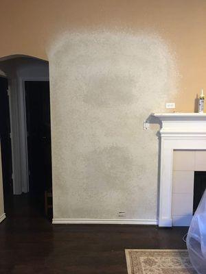 Professional Painter