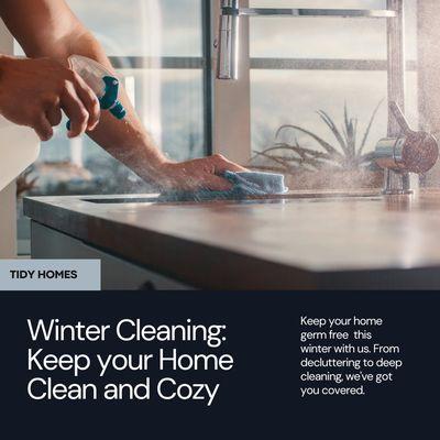 The Cleaning Purr-fectionist