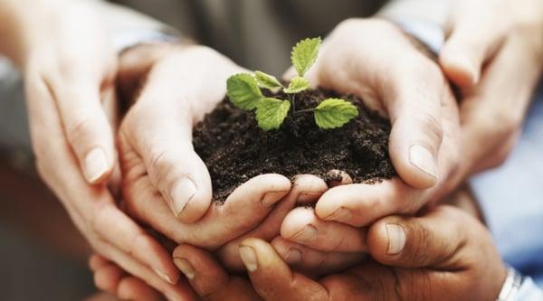 Using natural, organic ingredients that are safe for people and pets. Natural and yet extremely effective.