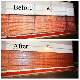 Big Dog Power Washing