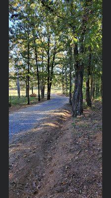 Winchester Land Solutions