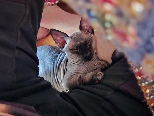 Happy baby boy after his first visit