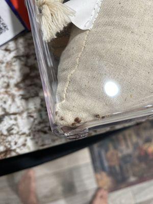 These are weevils that have escaped the burlap bags.