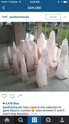 Grace Mrs Palm Reader