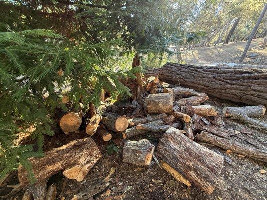 Davey Resource Group