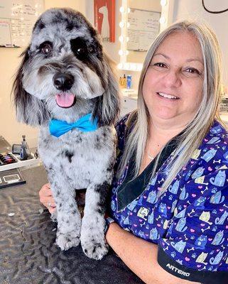 Victoria Park Paw Spa