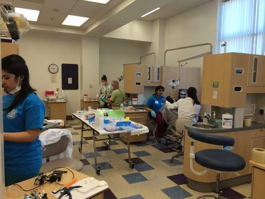 Northern Virginia Community College