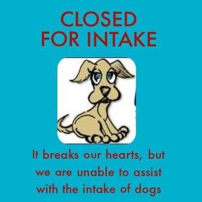 For the Love of Dogs NC