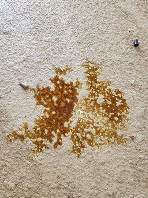 Squeaky’s Car Wash