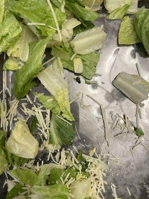 Couldn't believe what I found in my salad!!! we found the dead fly at the bottom of the box. So gross!!! Lost my appetite.......