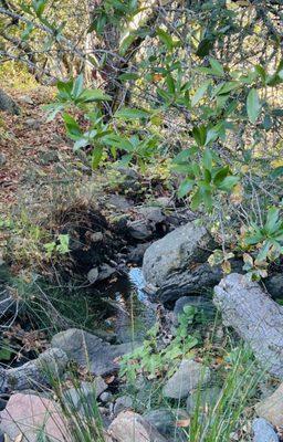 Just wait until after the rains